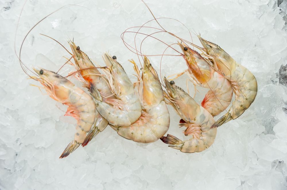 Shrimps: Weltweite Produktion steigt 2024 auf 5,7 Millionen Tonnen