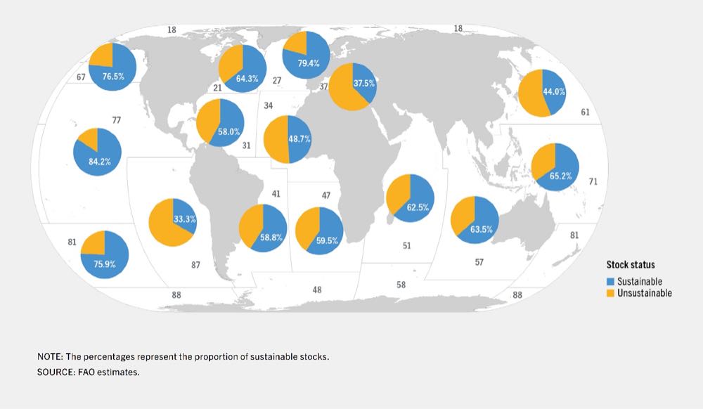 FAO: Nachfrage nach Fisch wächst schneller als Weltbevölkerung