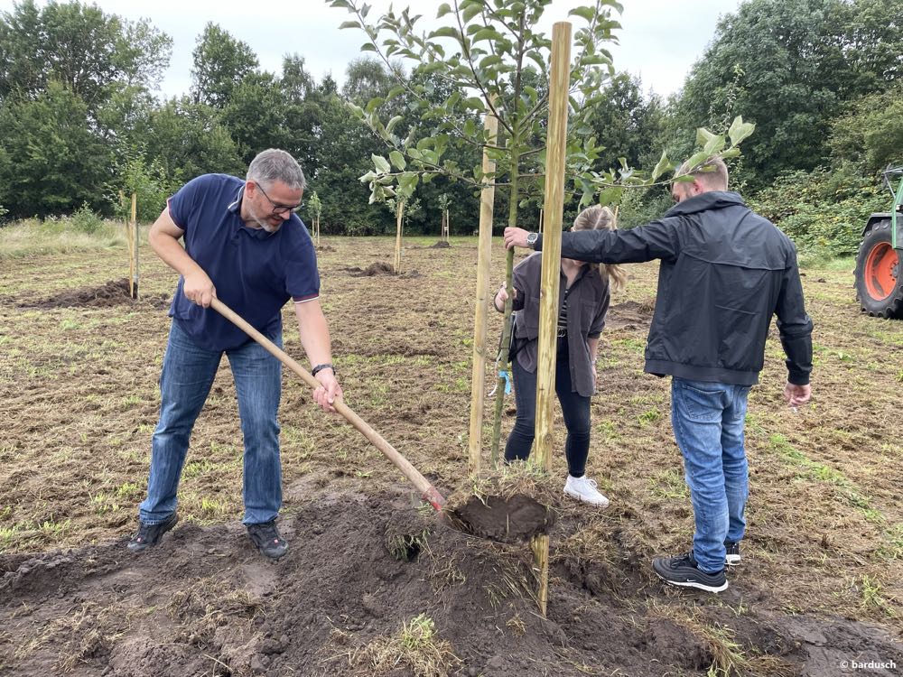 Bardusch pflanzt Bäume während Sommerfest