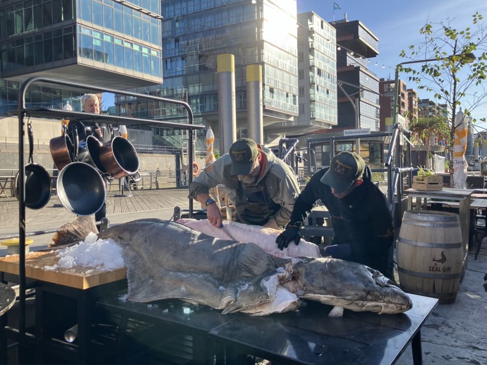 Hamburg: Brian Bojsen zerlegt Zwei-Meter-Heilbutt