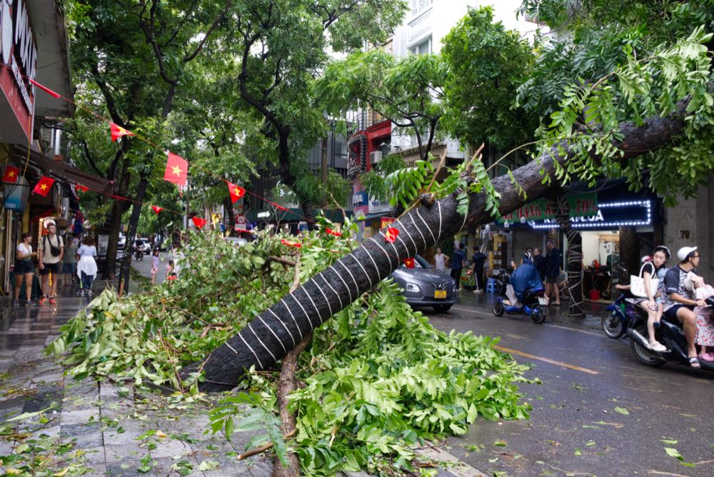 Vietnam: Taifun Yagi verursacht Millionenschäden in der Aquakultur