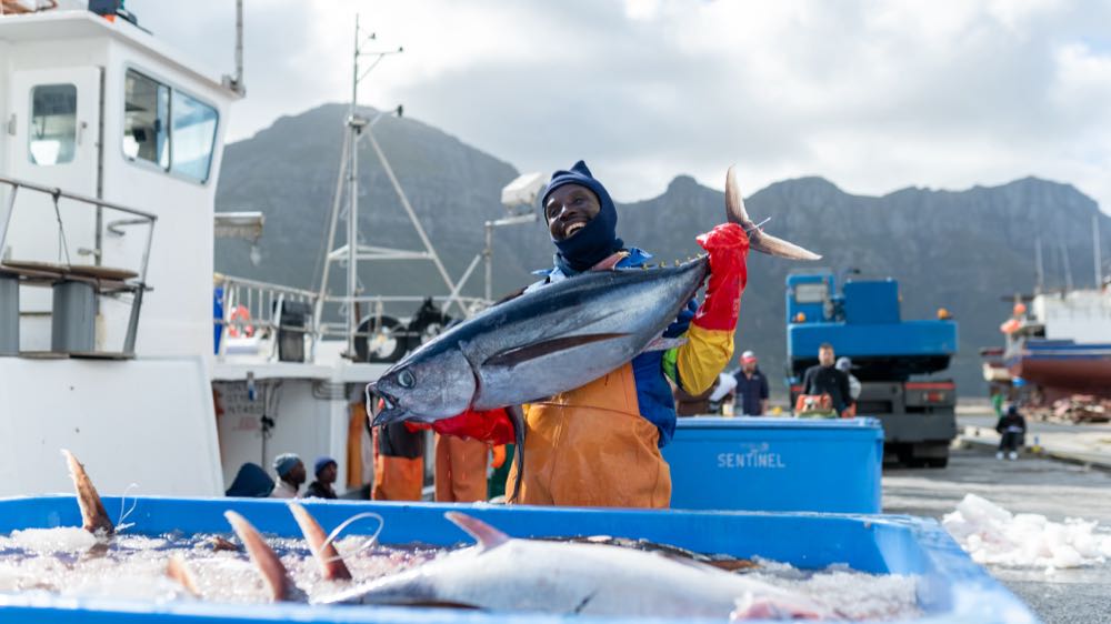 MSC startet neues Programm für Umweltverbesserungen in der Fischerei