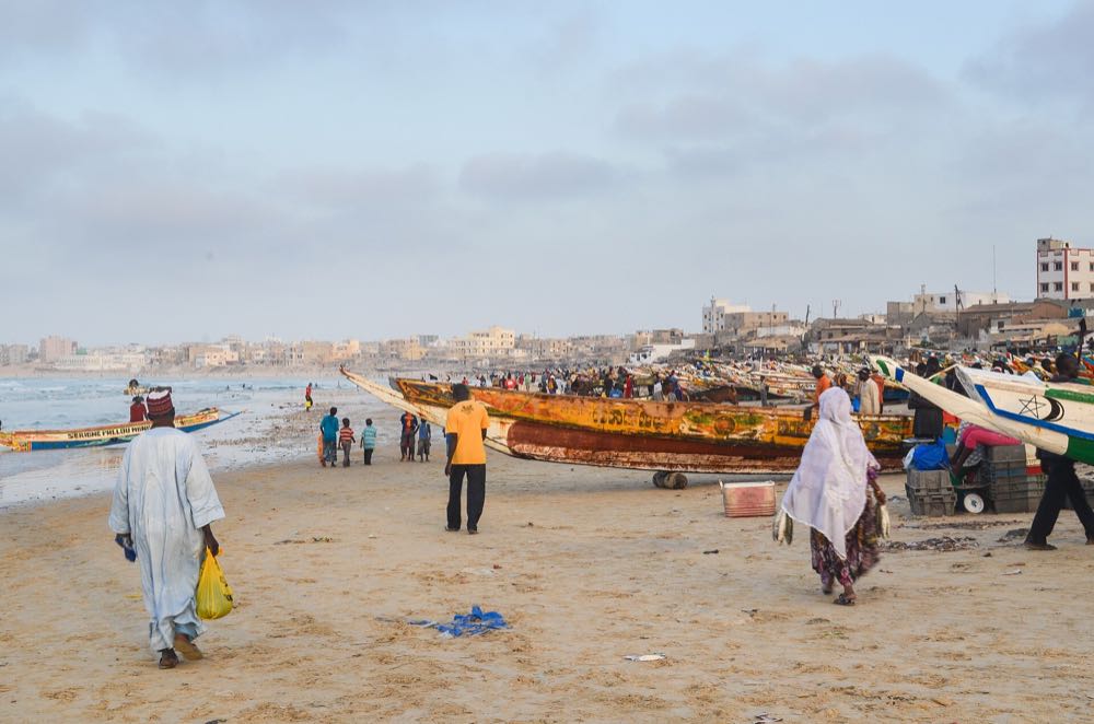 Senegal: Erste Fischerei in Westafrika erhält MSC-Zertifikat