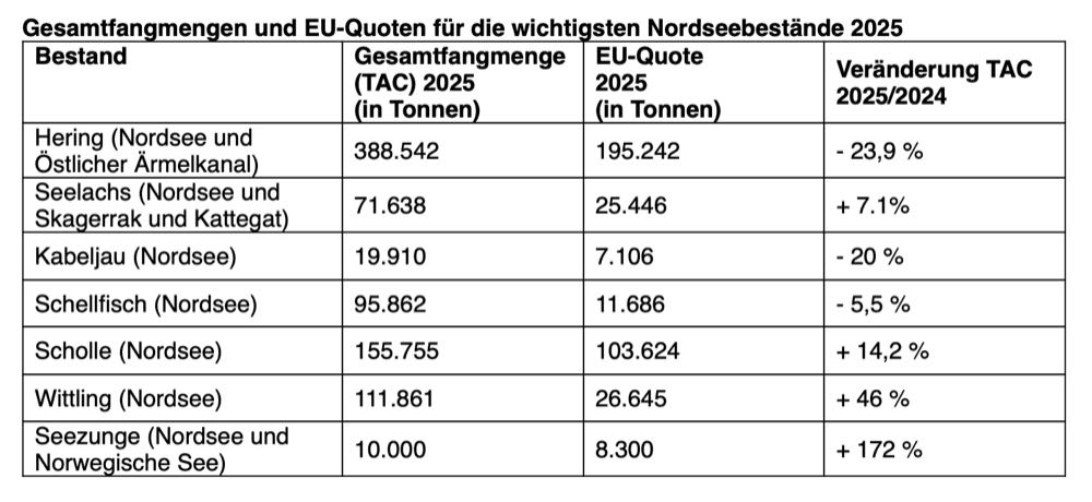 Nordsee/Nordostatlantik: Mehr Seelachs und Scholle, weniger Kabeljau und Hering