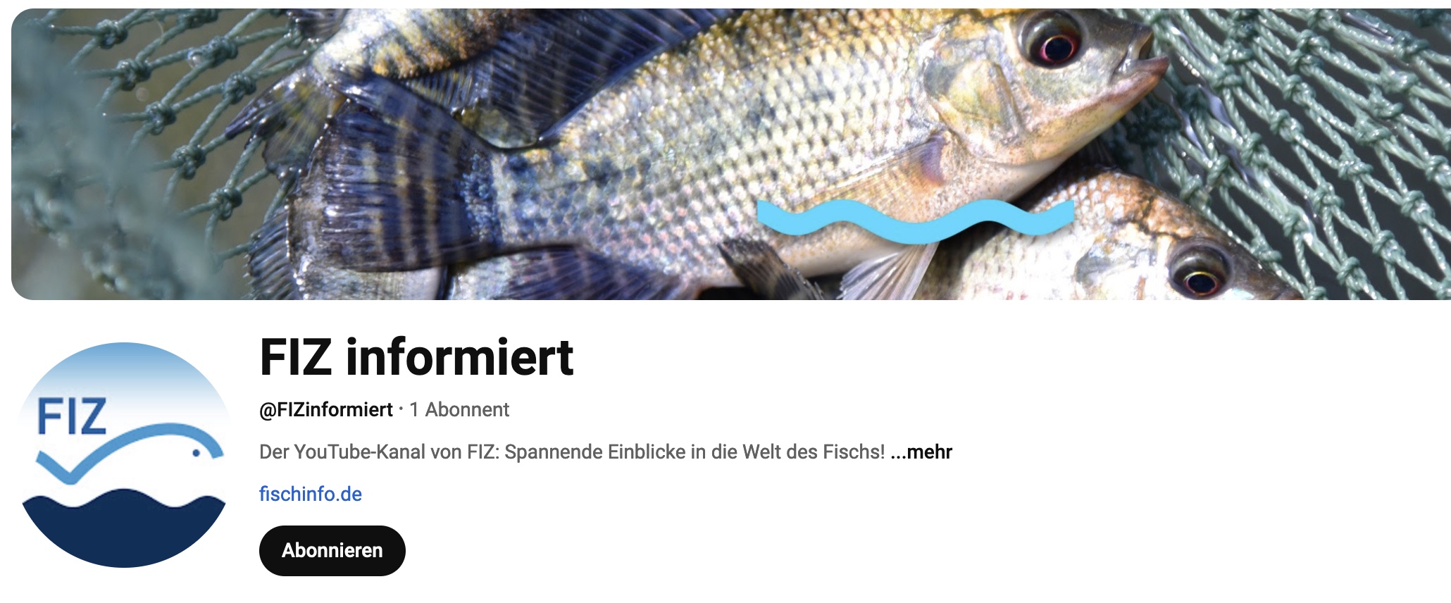 FIZ: Neue Homepage mit YouTube-Kanal