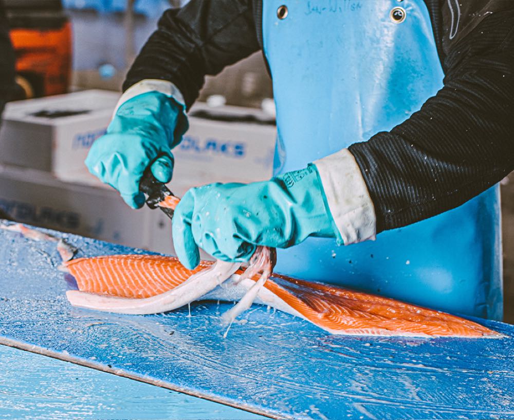 Niederlande: Lachsverarbeiter Quality Seafood verdoppelt Betriebsgröße