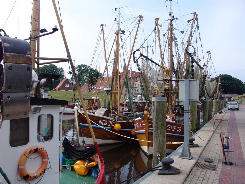 Nordseekrabben: De Beer und Van Belzen gründen Joint-Venture