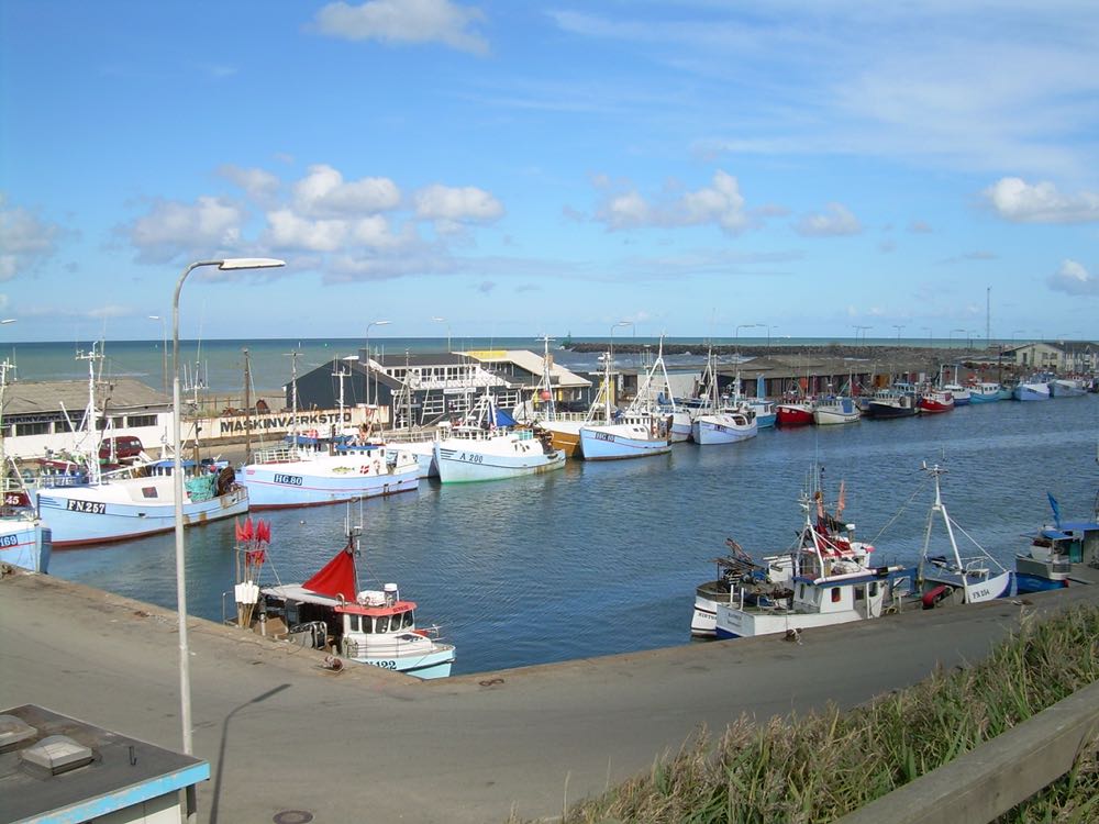 Dänemark: Fischanlandungen in Hirtshals 2024 mit 29 Prozent Plus