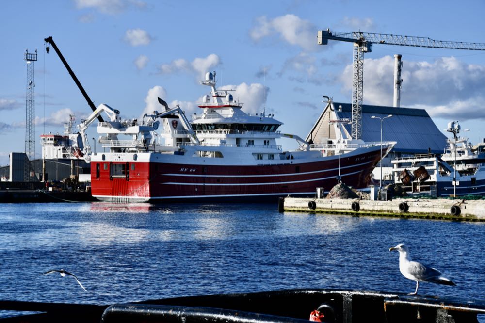 Dänemark: Skagen bleibt größter Fischereihafen des Landes